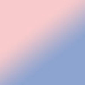 Meet your Posher, Hayden